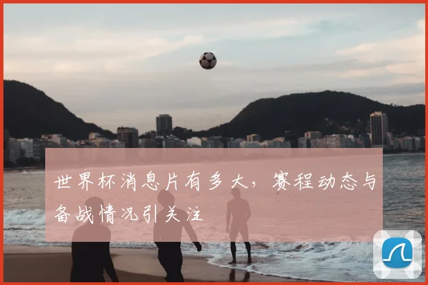 世界杯消息片有多大，赛程动态与备战情况引关注